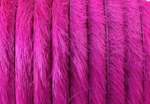 20 cm. Piel de potro. Plano. 5x1,5mm. Fucsia. Calidad superior