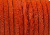 20 cm. Piel de potro. Plano. 5x1,5mm. Naranja. Calidad superior